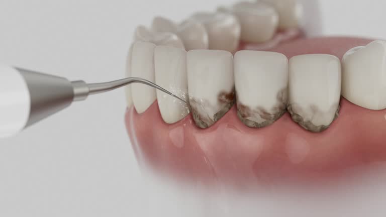 Reliable Dental contractor in Twisp, WA by Dentist Open Now